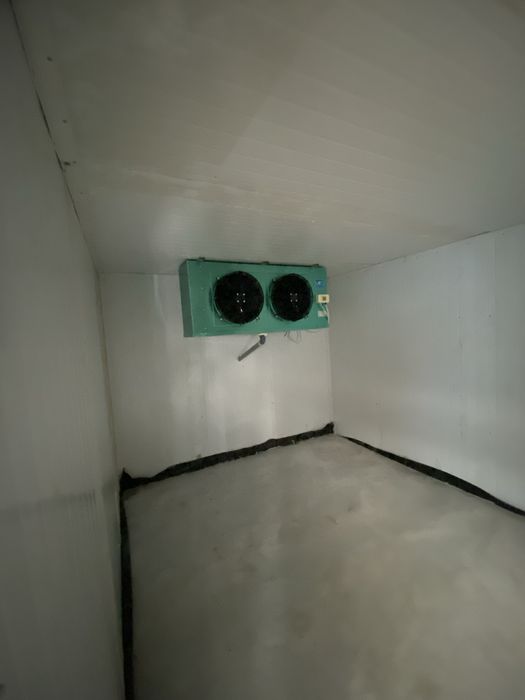 Xaladelnik minusavoy