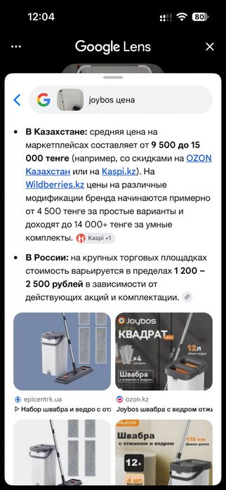 Швабра с ведром Joybos