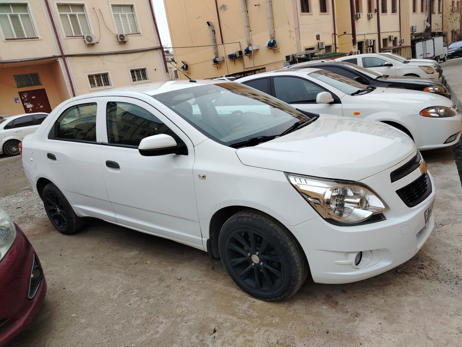 Cobalt 2019 Кобальт