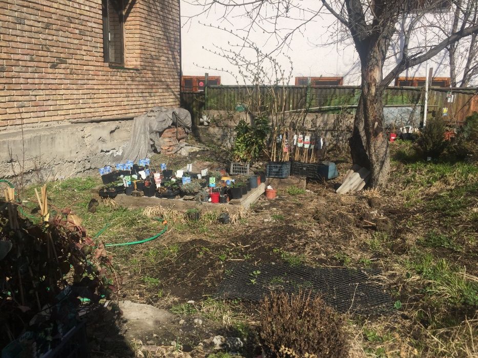 Продам особняк (недостроенный) в Медеуском районе