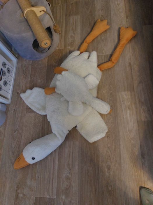 Домик и игрушки для кота