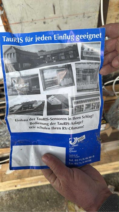 Ceas porumbei TAURIS