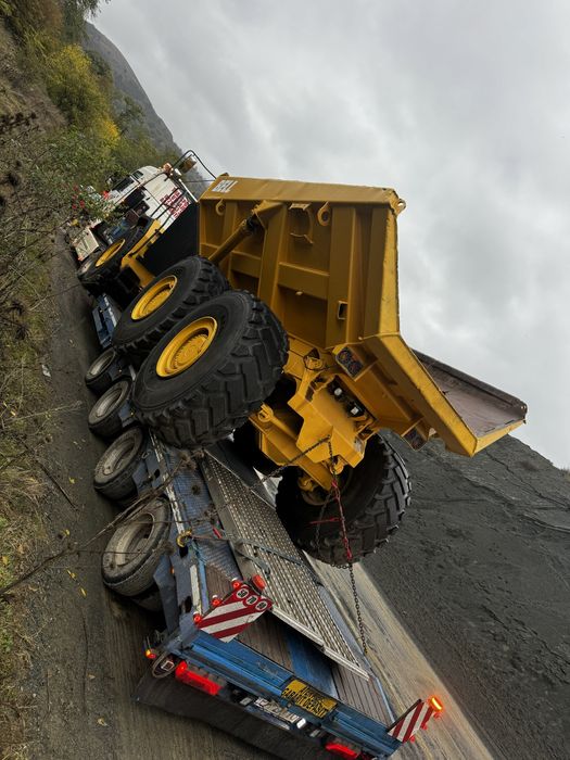 Tranporturi agabaritice/utilaje grele/ 4 axe extensibil/troliu/rampe