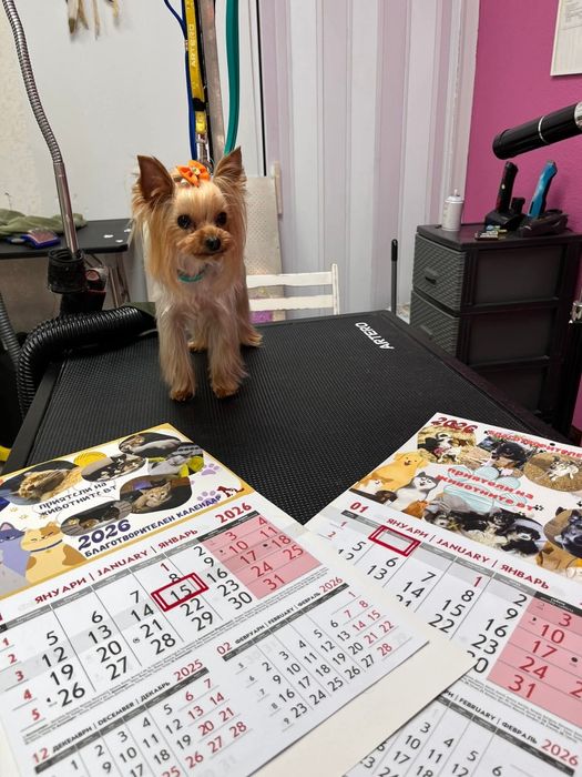 Календари с благотворителна цел