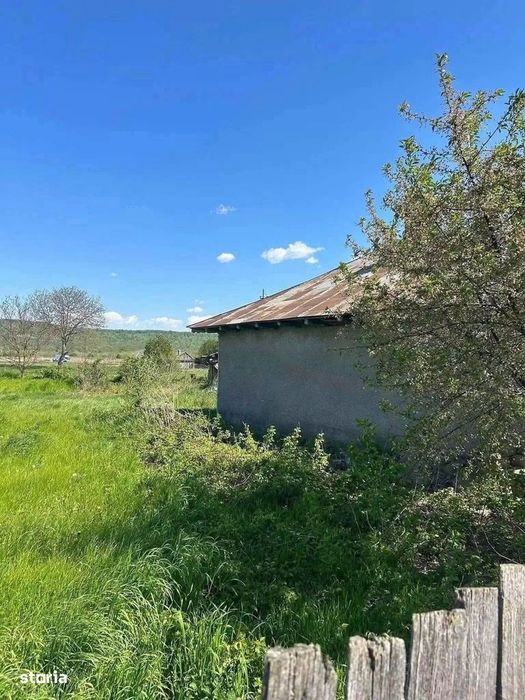 De vanzare casa batraneasca si teren de 1847mp in Horia, 48500euro