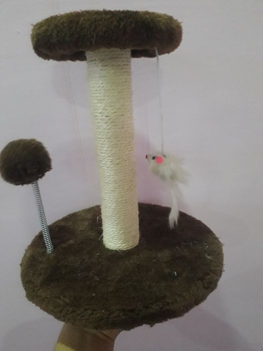 Mushuklar uchun tirnash ustuni. Qoshimcha sovg‘a qolqopli taroq