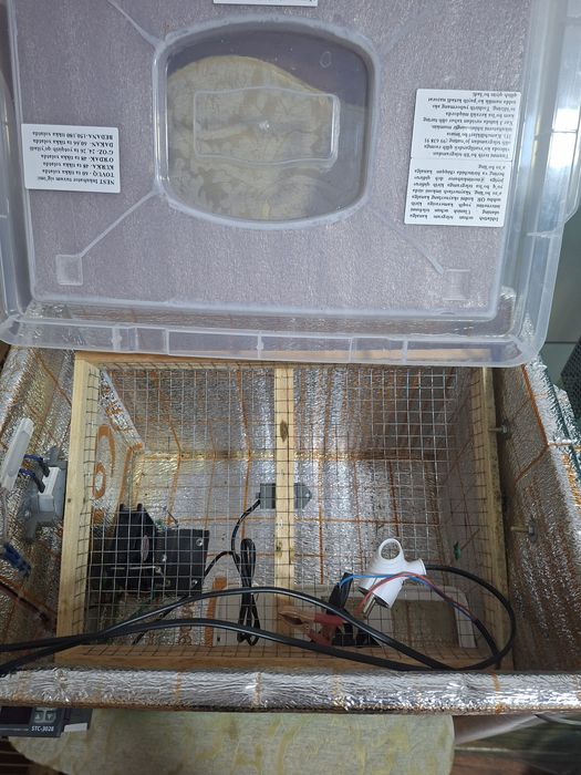 Inkubator nest 70 ta tovuq tuxum ketadi