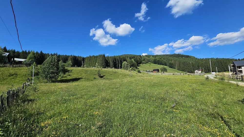 Teren 2.290 mp intravilan Valea Doftanei. Deschidere strada 51+40 m