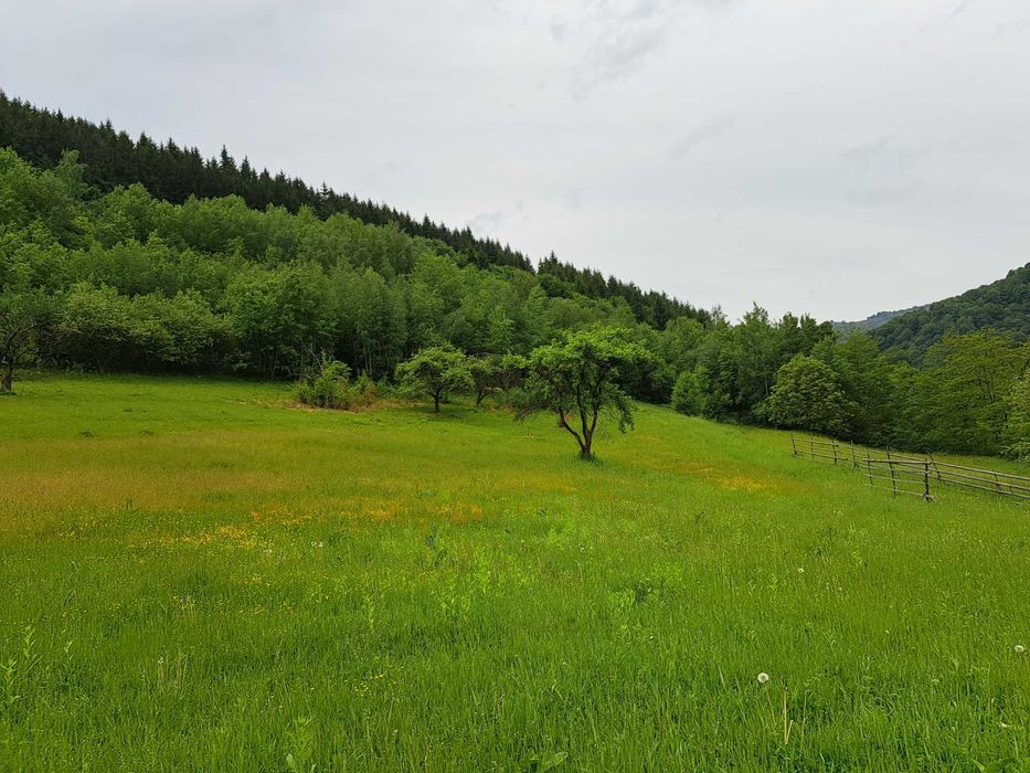 Casa cu teren si padure
