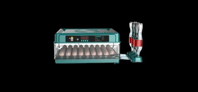 Incubator automat OVOBOX-48 Livrare rapidă 24-48h NOU