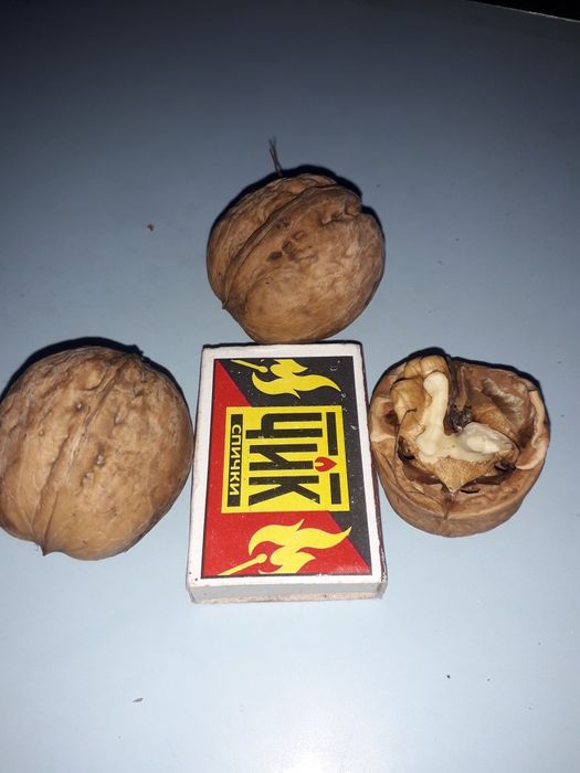 Продам грецкие орехи
