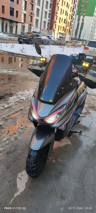 Макси лиййа 175 куп