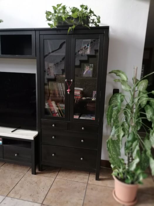 Mobilier camera de zi lemn masiv