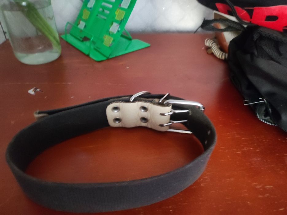 Продам или обменяю ошейник