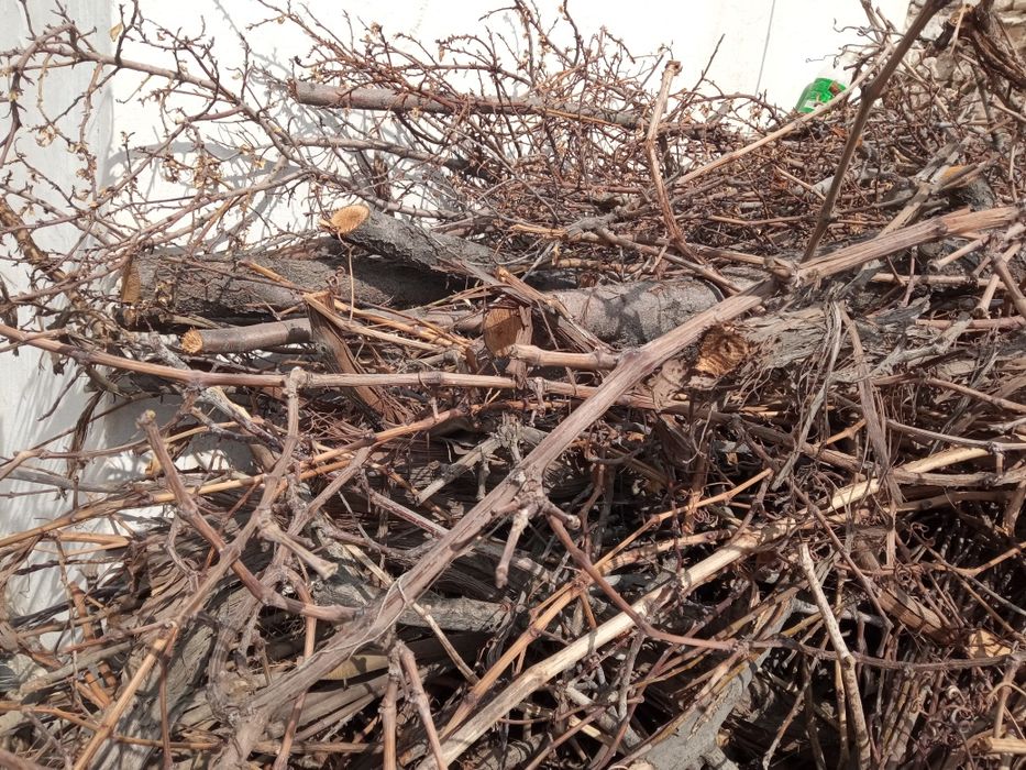 Хезум.  Продается.   Дрова..