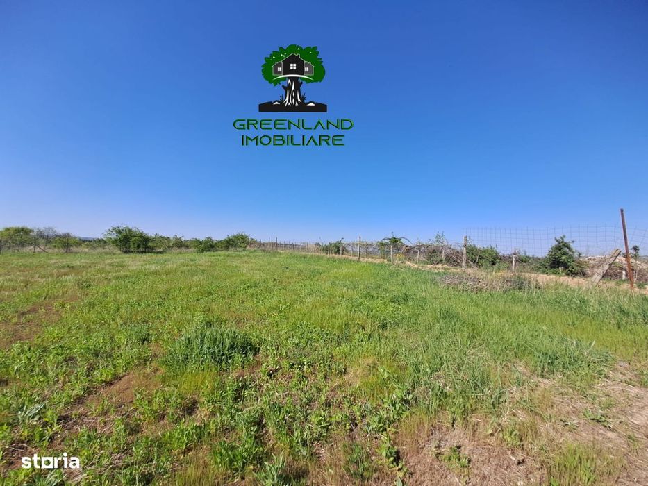 Teren Intravilan, 640 mp, Vedere panoramica, toate Utilitatile, Bucium