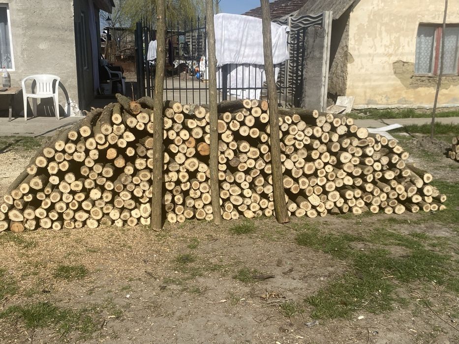 Pari sau stalpi de gard electric