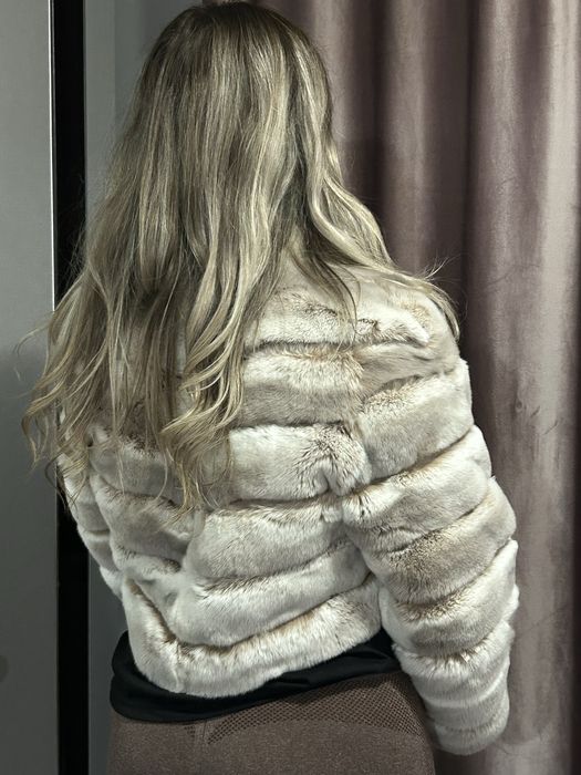 blana naturala de Chinchilla Rex , Bej