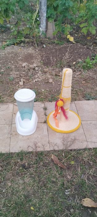 Articole pisici jucause și cutie creștere pui