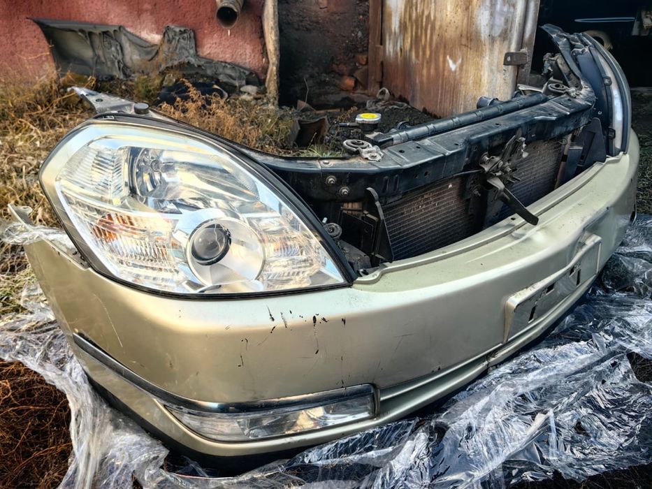 Ноускат Теана 31