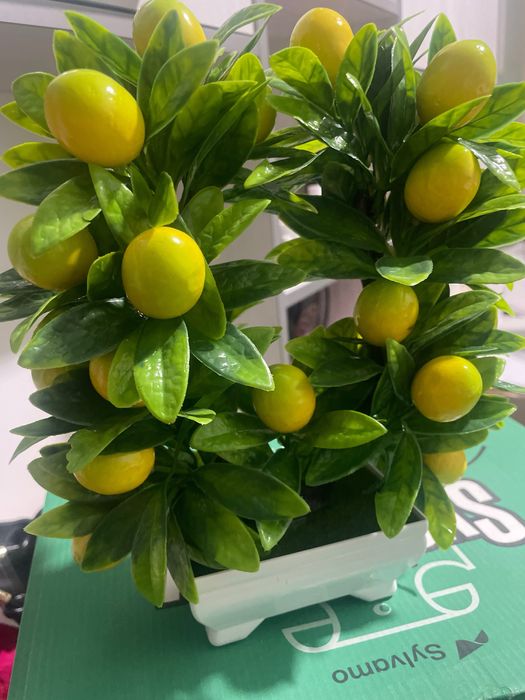 Канцелария товарлари