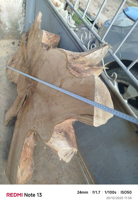 Шайба от корен от орех