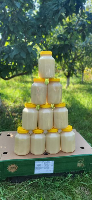Miere de Albine 100% naturală