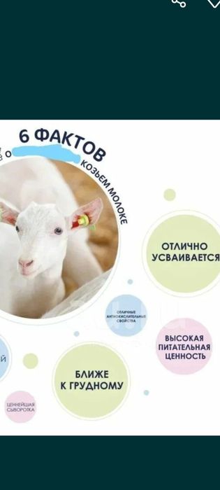 Продаётся козье молоко
