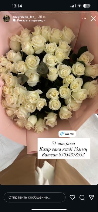 51 штук роза Свежий