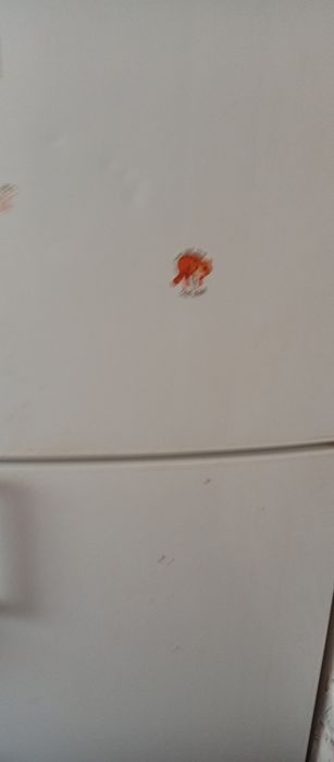 Сдам комнату в общежитии