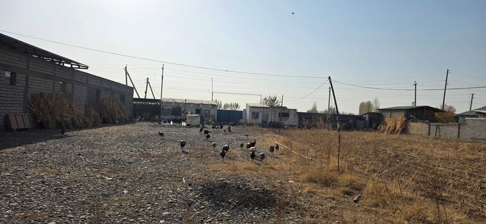 Продается база 39 соток возле поста Рохат 2-3 км. Идеально под склад!