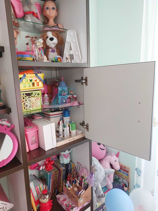 Biblioteca PAL, culoare Wenge