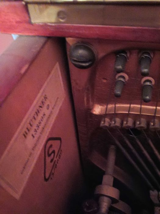 Пиано Julius Bluthner