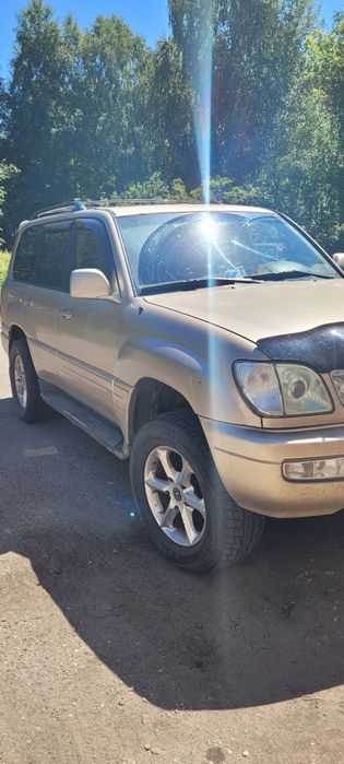 Продам в хорошие руки.