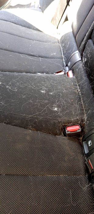 Пране на автомобили зимно Премахване на Петна изсушаване цена 50  евро