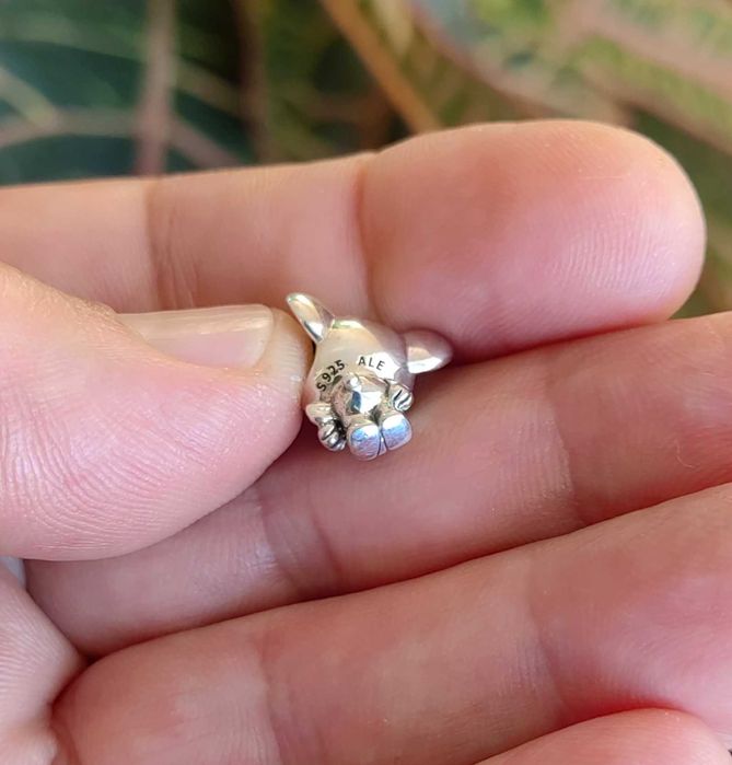 Висулка Пандора - „Сърфираща коала“, Pandora талисман