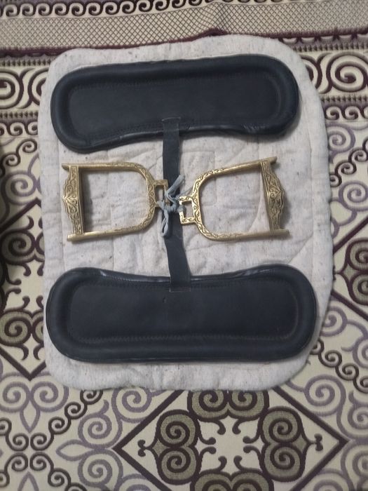 Қыран ер ертоқым бағасы 150000