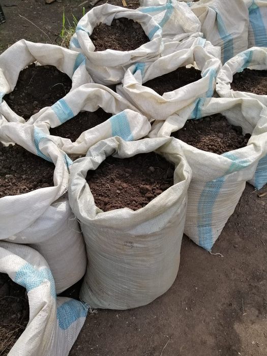 Продаю чернозем перегной