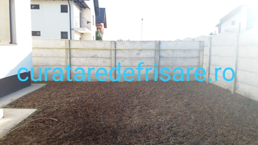 Curatare teren, iarba, ambrozie, maracini, arbusti, imprejmuire