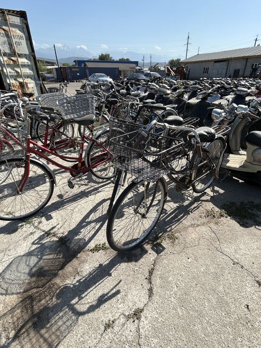 Велики из японии привозные