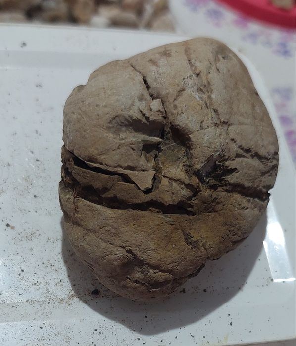 Камень нашлос таким