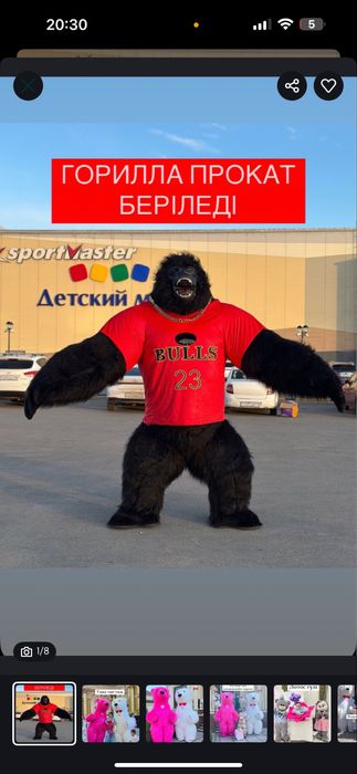 Мишка короми гарилла қыз