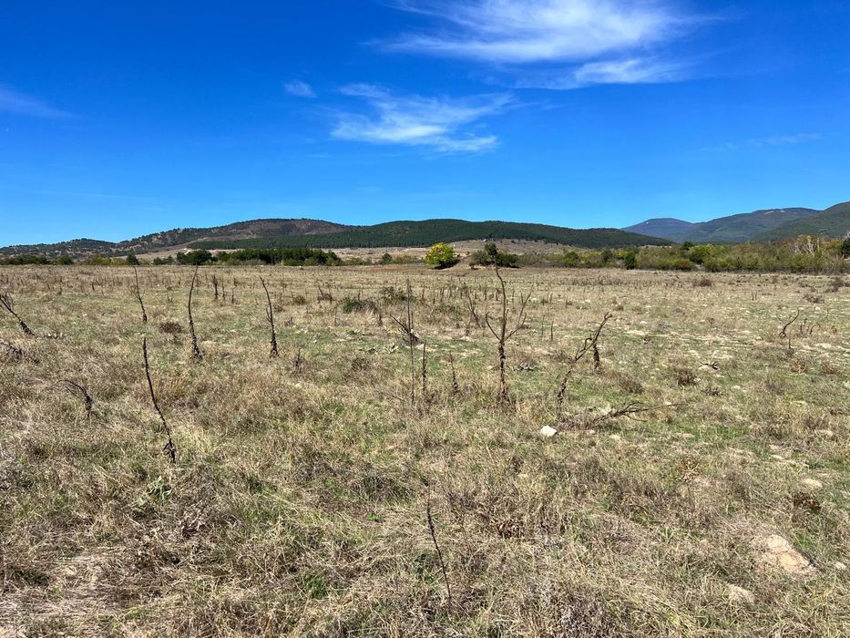 Продава се Парцел в Казанлък - 1600 кв.м за 10 €/кв.м - Снимка #9