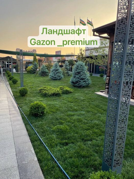 Газон готовый рулон оптом нархда