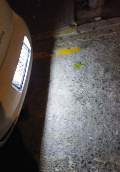 Лед плафони за задния регистрационен номер за Фиат Fiat пунто браво