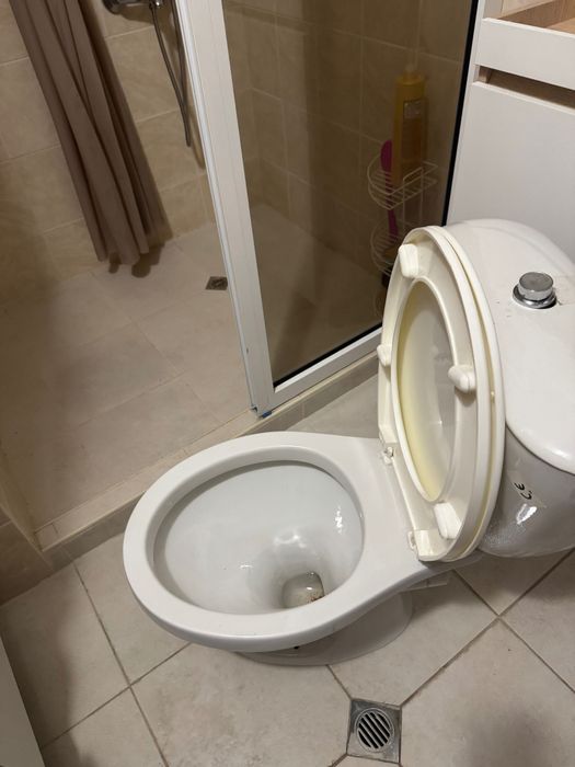 Подарявам тоалетна чиния (комплект)