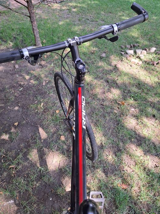 Cursiera giant rapid ghidon drept