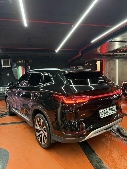 Byd song plus champion gibrid