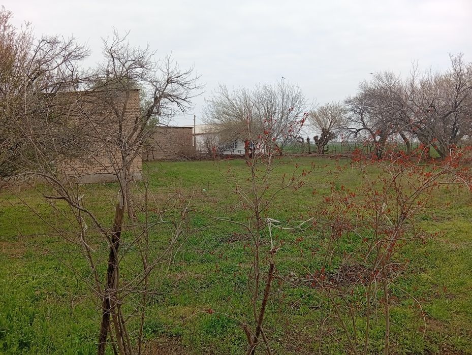 7 hona uy 23 sotix erli hovli sotiladi