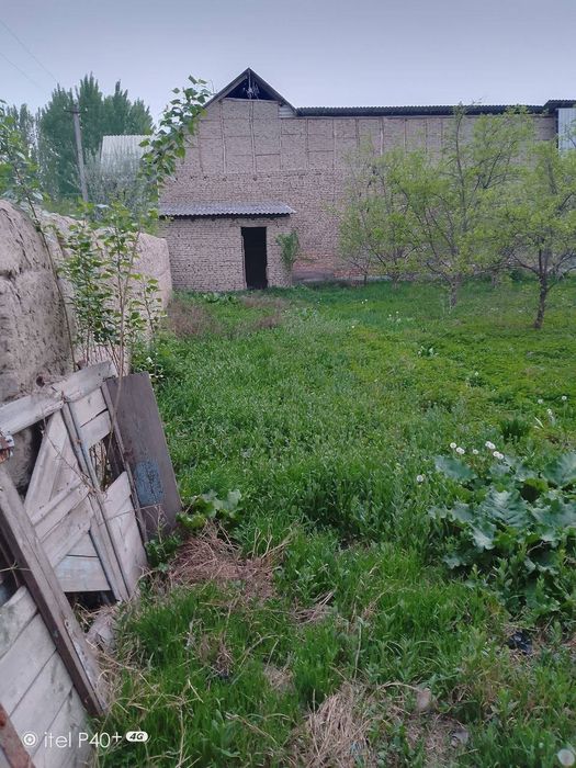 Чек сотилади. Кувада